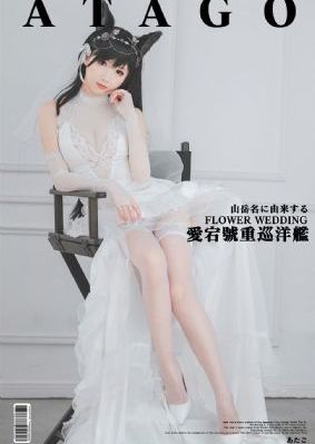 零度战姬第二季
